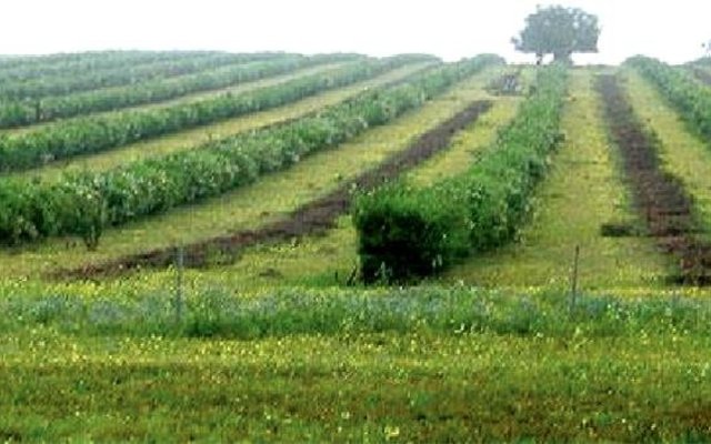 Gansbaai was 1ste met Boomlusern_1